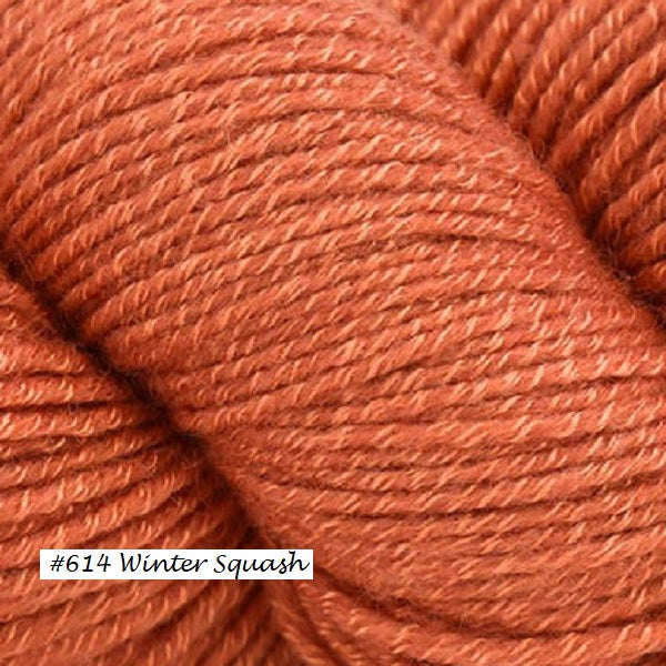 Wool Pop Yarn from Universal. Color #614 Winter Squash