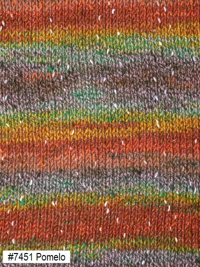 Berroco Sesame Yarn. Color #7451 Pomelo