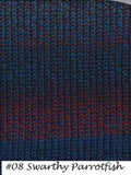 Brisbane Yarn from the Queensland Collection. An aran weigh yarn for knit or crochet in color #8 Swarthy Parrotfish