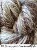 Brisbane Yarn from the Queenland Collection. An aran weight yarn form knit or crochet in color #39 Banggai Cardnailfish