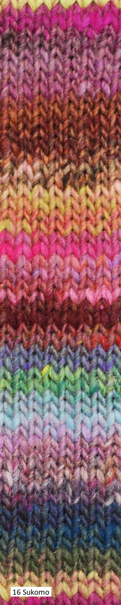Ito Yarn form Noro. Colorway #16 Sukomo