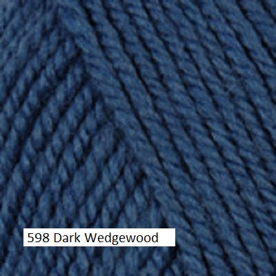 Plymouth Yarn Encore Chunky. Color  #598