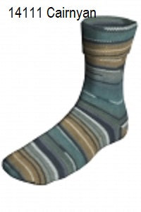 Berroco Sox. Color #14111 Cairnyan.