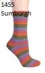 Berroco Sox. Color #1455 Sumburgh.