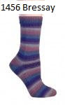Berroco Sox. Color #1456 Bressay.