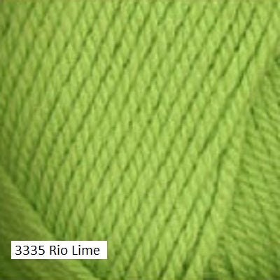 Plymouth Yarn Encore Chunky. Color  #3335