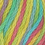 Fantasy Naturale Yarn from Plymouth. Color #9951 Color #9951 multi color