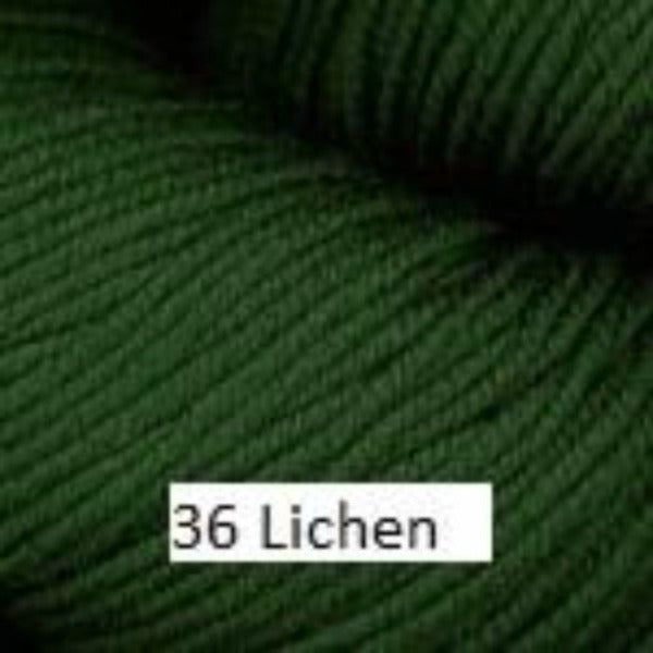 Worsted Merino Superwash Yarn from Plymouth. Color #36 Lichen