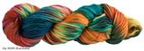 Alegria Grande Yarn in colorway AG9089 Hurache