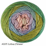 Cumulus Rainbow Yarn from Juniper Moon Farm. Colorway #205 Lotus Flower.
