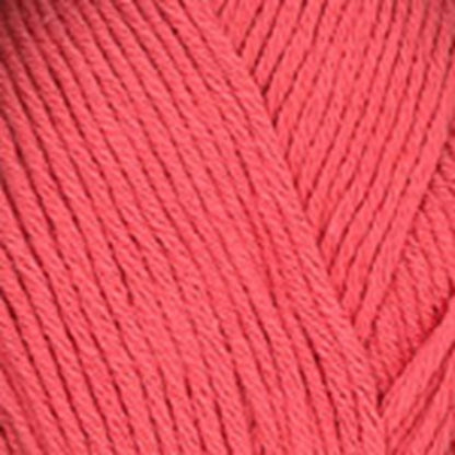 Dream DK & Dreambaby Paintpot