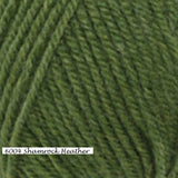 Encore worsted Weight Yarn from Plymouth. Color #6004 Shamrock Heather