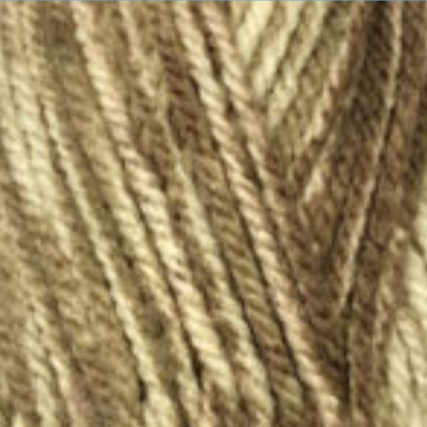 Encore Chunky Colorspun