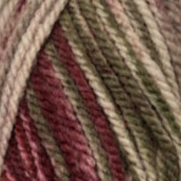 Encore Chunky Colorspun