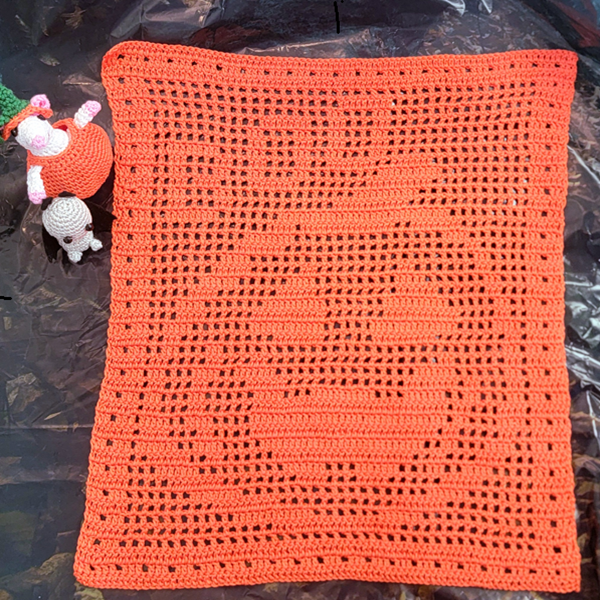 Filet Crochet Pumpkin Class
