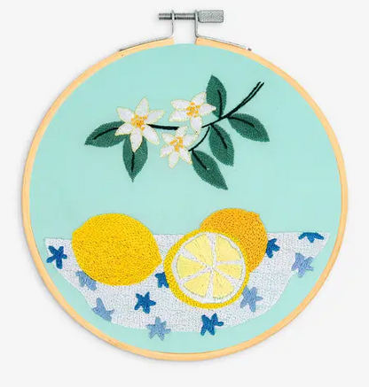 Embroidery KIts from DMC