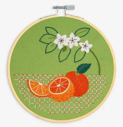 Embroidery KIts from DMC