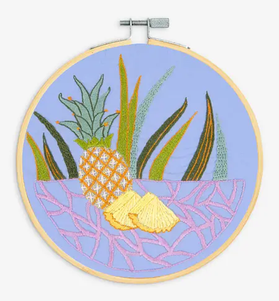 Embroidery KIts from DMC