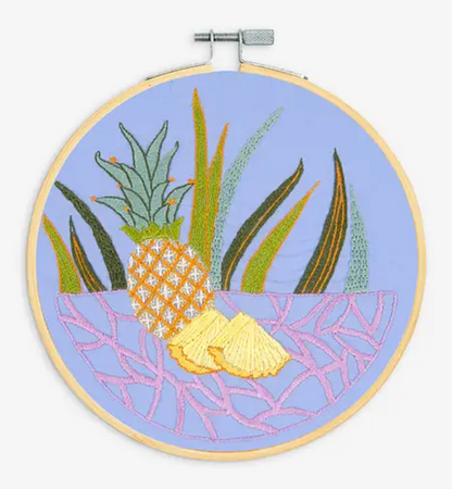 Embroidery KIts from DMC