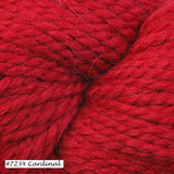Cardinal (#7234) Ultra Alpaca Chunky Yarn from Berroco