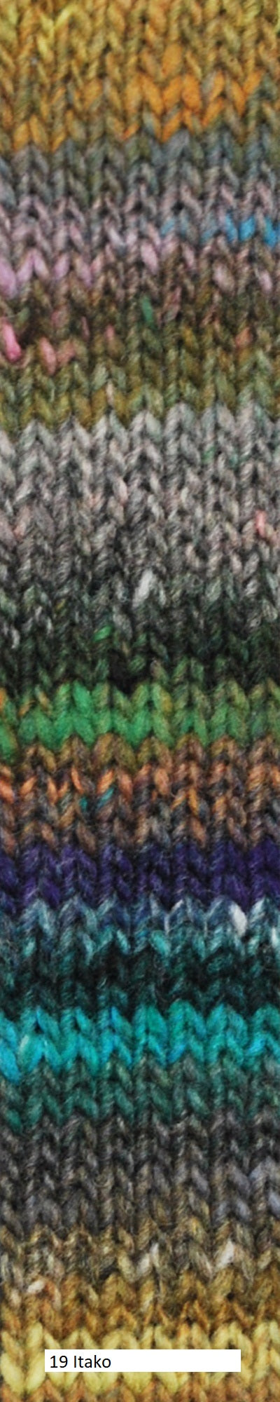 Ito Yarn form Noro. Colorway  #19 Itako