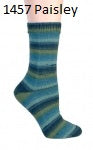 Berroco Sox. Color #1457Paisley.