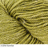 Equinox Yarn from Plymouth. Color # 3 Lime Sunrise
