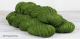 Acaida DK Yarn from The Fibre Co. Color #270 Jack Pine