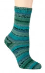 Berroco Sox Yarn, Colore #1455 Knightly