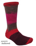 Berroco Sox Yarn. Color #14225 Redwood