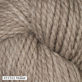 Ultra Alpaca Chunky Yarn from Berroco. Color #72511 Millet