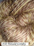 Brisbane Yarn from the Queensland Collection. An aran weight yarn for knit or crochet in color #30 Mount Crosby