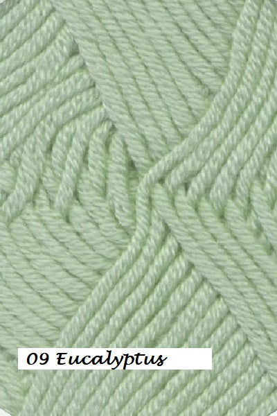 Ella Rae Cashmereno Sport Yarn in color #09 Eucalyptus