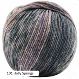 Ella Rae's Cashmereno Sport Speckled Yarn in color #101 Hoppy sprigs