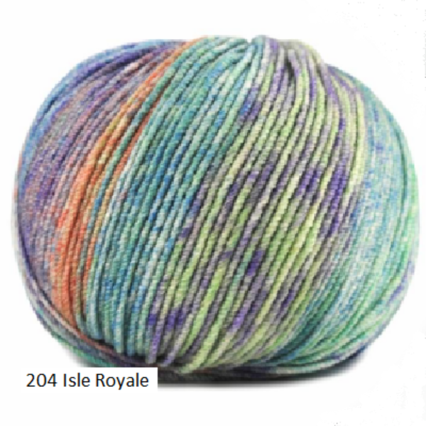 Ella Rae's Cashmereno Sport Speckled in color #204 Isle Royale