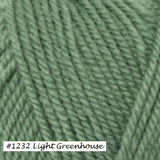 Encore Worsted Yarn from Plymouth Yarn.  Color #1232 Light Greenhouse