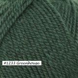 Encore Worsted Yarn from Plymouth Yarn. Color #1233 Greenhouse