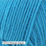 Encore worsted weight Yarn from Plymouth. Color #235 Miami Aqua