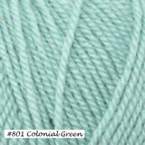 Colonial Green (#801 in Ecnore Worsted Yarn from Plymouth Yarns