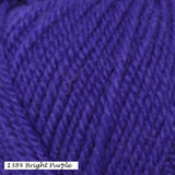 Bright Purple (#1384) Encore Worsted from Plymouth Yarns