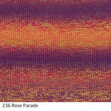 Painted Sky yarn from Knitting Fever. Color #236 Rose Parade