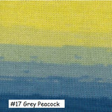 Pendenza Yarn from Plymouth Yarn. Color #17  Grey Peacock