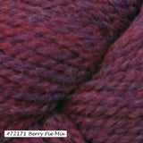 Ultra Alpaca Chunky Yarn from Berroco. Color #72171 Berry Pie Mix