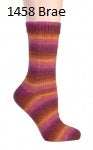 Berroco Sox. Color #1458 Brae.