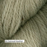 Homestead Yarn from Plymouth Yarn. Color 06 Oatmeal Heather