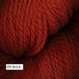Homestead Yarn from Plymouth Yarn. Color #09 Brick