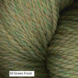 Homestead Yarn from Plymouth Yarn. Color 30 Green Frost