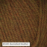 Plymouth Yarn Encore Chunky. Color  #1445