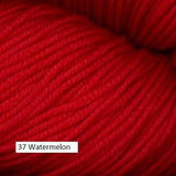 Worsted Merino Superwash Yarn from Plymouth. Color #37 Watermelon