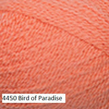 Fixation Yarn from Cascade in color #4450 Bird of Paradise